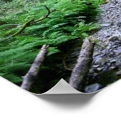 "Pad des Ferns", Muir Bossen Poster (Hoek)