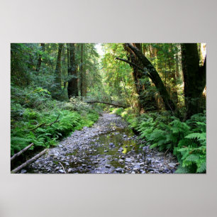 "Pad des Ferns", Muir Bossen Poster