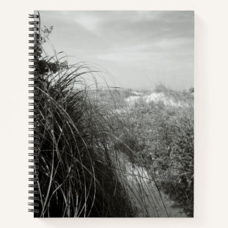 Pad door de duinen | Rustiek strandjournaal Notitieboek