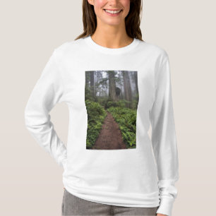 Pad door de reusachtige sequoia's gehuld 2 t-shirt
