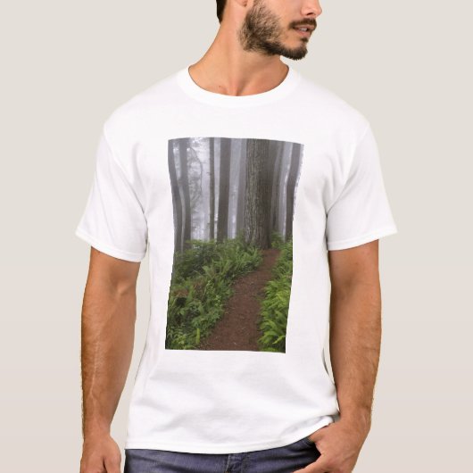 Pad door de reusachtige sequoia's gehuld t-shirt (Voorkant)
