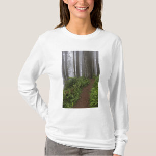 Pad door de reusachtige sequoia's gehuld t-shirt