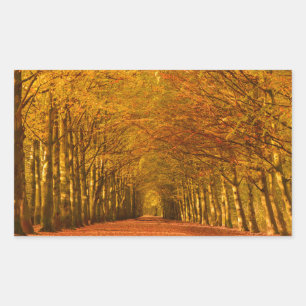 Pad door het bos in herfst rechthoekige sticke sticker