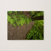 Pad door het bos legpuzzel (Horizontaal)