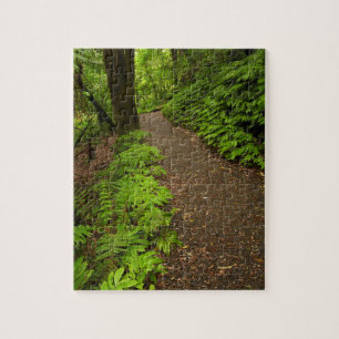 Pad door het bos legpuzzel