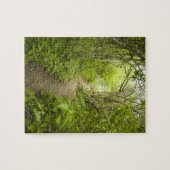 Pad door het bos legpuzzel (Horizontaal)