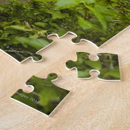 Pad door het bos legpuzzel (Zijkant)