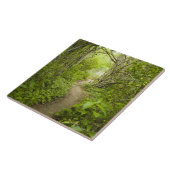 Pad door het bos tegeltje (Zijkant)