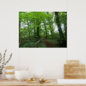Pad door het Poster Groen bos (Keuken)