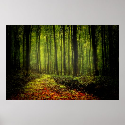 Pad in Bossen Poster (Voorkant)