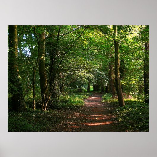 Pad in de Bossen Poster (Voorkant)