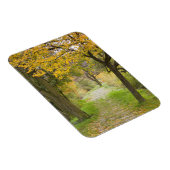 Pad in de herfst magneet (Rechterzijde)