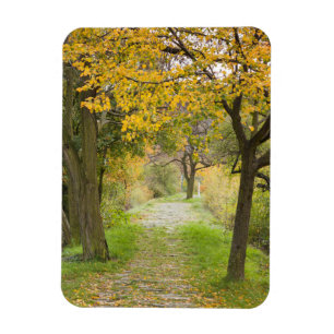 Pad in de herfst magneet