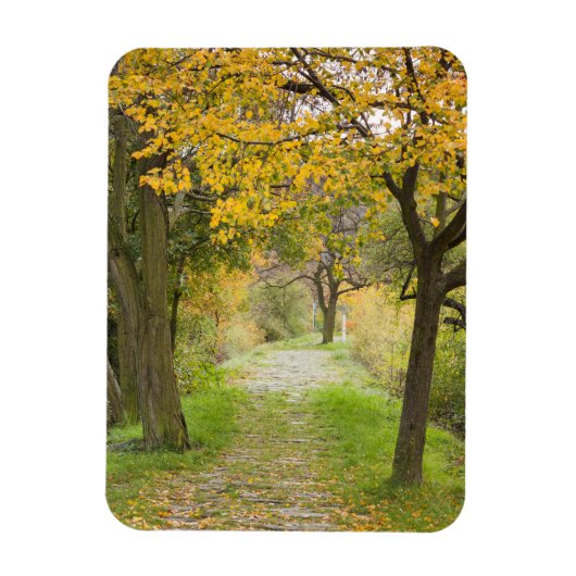 Pad in de herfst magneet (Verticaal)