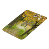 Pad in de herfst magneet (Linkerzijde)