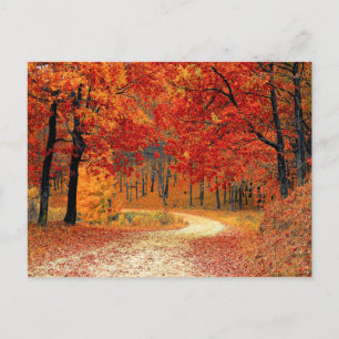 Pad in het bos, herfst briefkaart