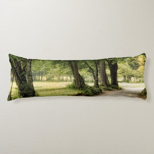 Pad in het land lichaamskussen (Voorkant)