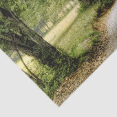 Pad in het land tissuepapier (Detail)