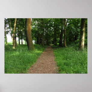 Pad in The Bossen, Bute Park, Cardiff Poster