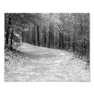 Pad minder onderweg foto afdruk