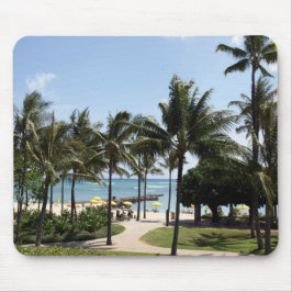 Pad naar de Oceaan Muismat