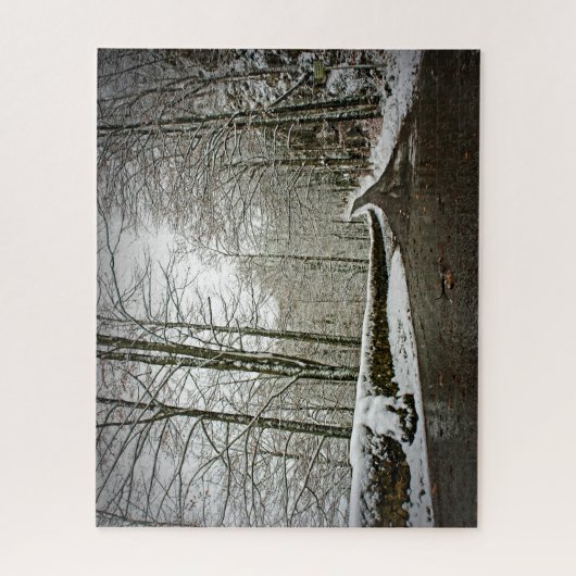 Pad naar Dreamweaver - Duits bos - 16x20 - 520 pc Legpuzzel (Verticaal)