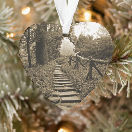 Pad naar licht ornament (Boom)