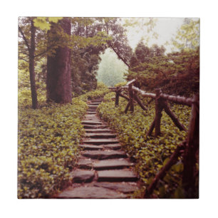 Pad naar licht tegeltje