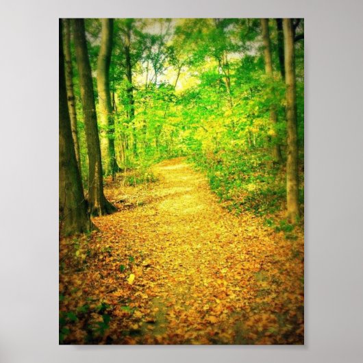 Pad Poster (Voorkant)