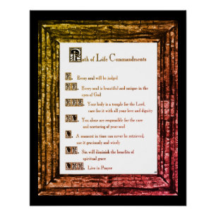 Pad van het leven perfect poster