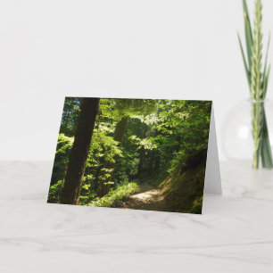 Pad van Silver Falls Kaart