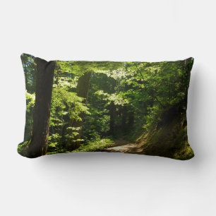 Pad van Silver Falls Kussen
