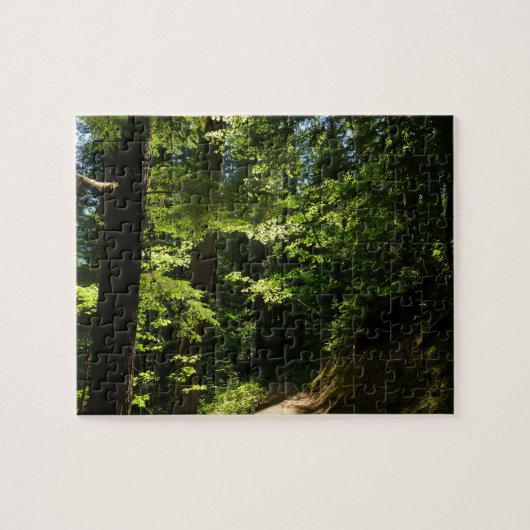 Pad van Silver Falls Legpuzzel (Horizontaal)