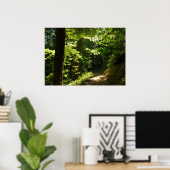 Pad van Silver Falls Poster (Thuiskantoor)