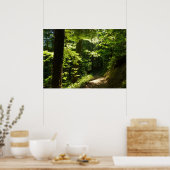 Pad van Silver Falls Poster (Keuken)