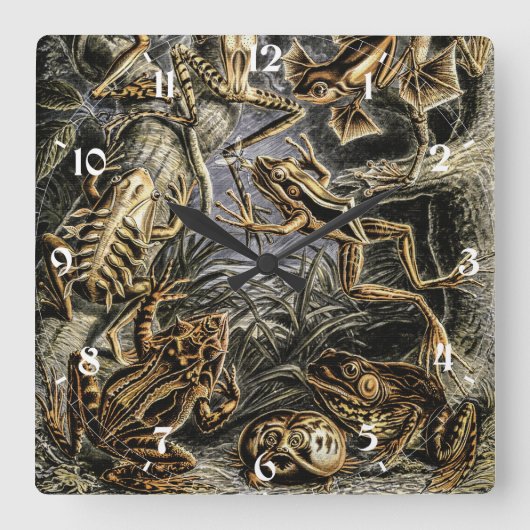 padden en kikkers door Ernst Haeckel Vierkante Klok (Voorkant)