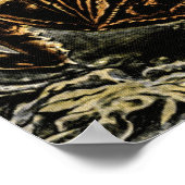 padden en kikkers van het Poster Ernst Haeckel (Hoek)