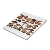  paddenstoel — Botanische afdrukken Tegeltje (Zijkant)