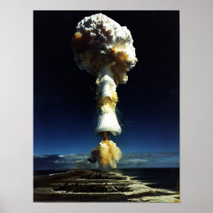 paddenstoel Cloud Poster
