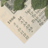 Paddenstoel Ephemera Design Series #12 Tissuepapier (Detail)