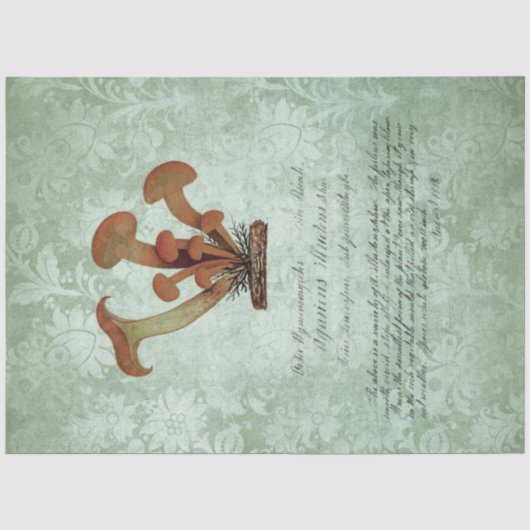 Paddenstoel Ephemera Ontwerpreeks #2 Tissuepapier (Voorkant)