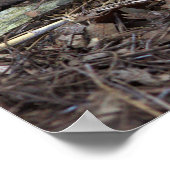 Paddenstoel Foto Poster (Hoek)