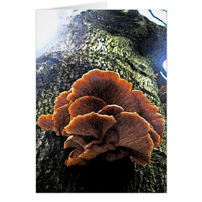 paddenstoel Fresco (Voorkant)