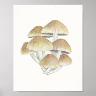 paddenstoel Fungus Fungi Poster