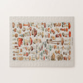  paddenstoel Fungus Illustratie I Legpuzzel (Horizontaal)