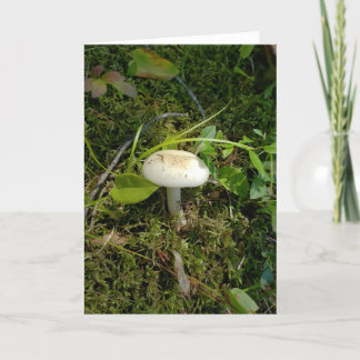 Paddenstoel in het bos kaart