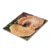 Paddenstoel in het bos tegeltje (Zijkant)