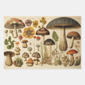  paddenstoel inpakpapier vel (Voorkant 3)