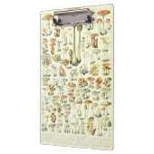 Paddenstoel Klembord (Links)