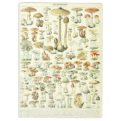 Paddenstoel Klembord (Achterkant)